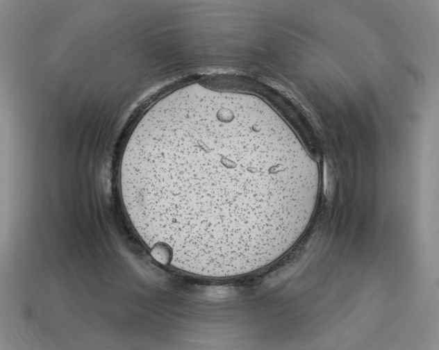 X0000114190204200911061410