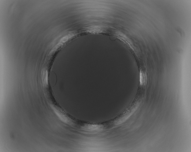 X0000114190205200911061410