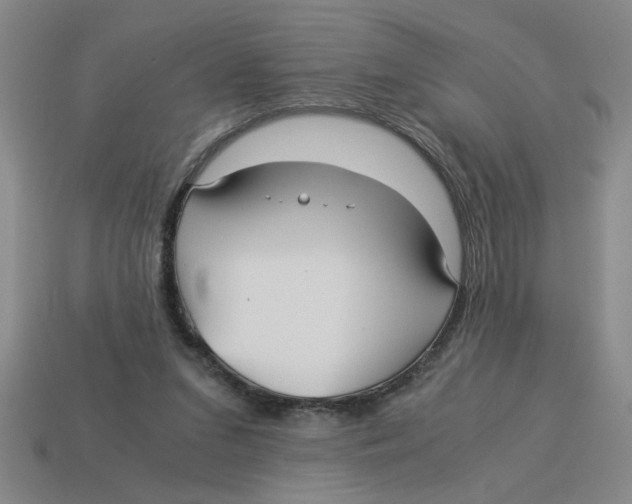 X0000114190207200911061410