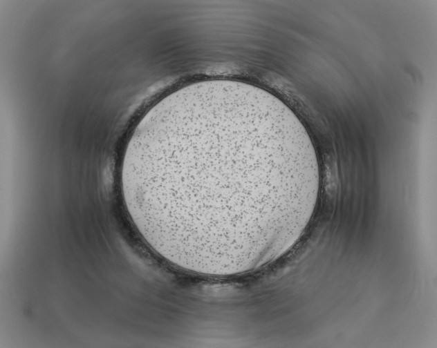 X0000114190208200911061410