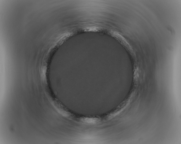 X0000114190209200911061410