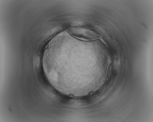 X0000114190211200911061410