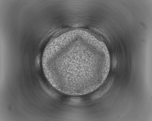 X0000114190214200911061410