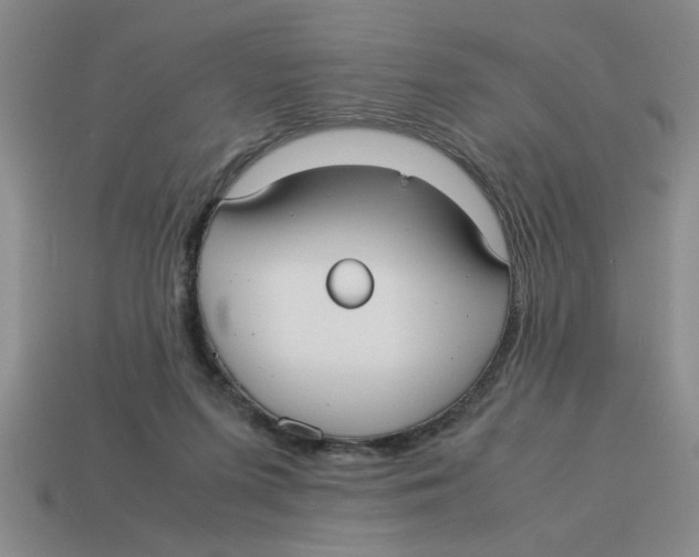 X0000114190215200911061410