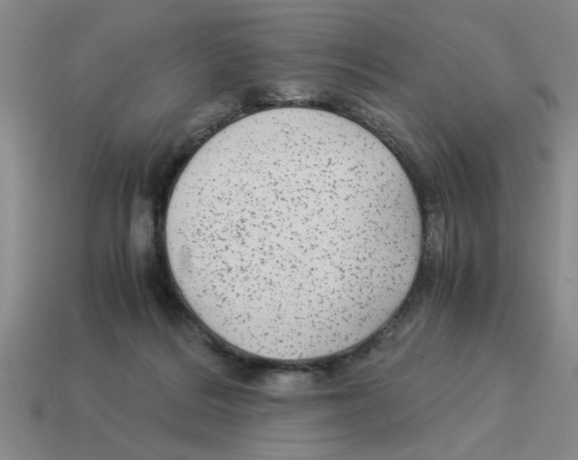 X0000114190220200911061410