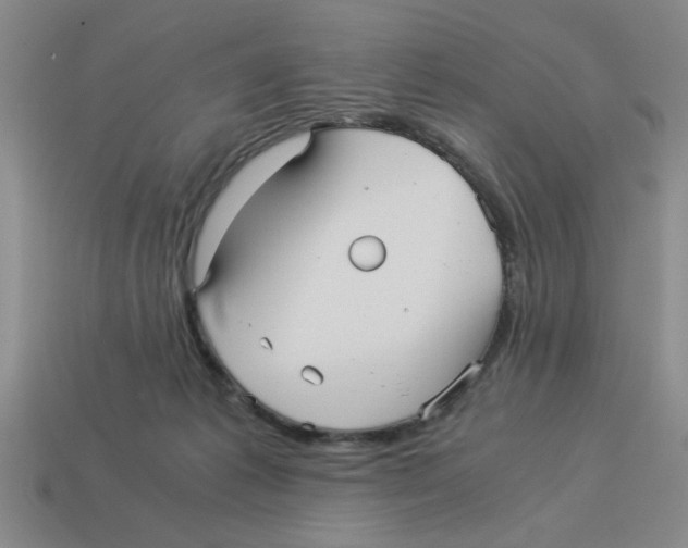 X0000114190221200911061410