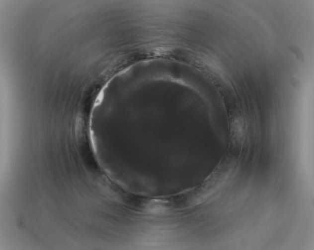 X0000114190222200911061410