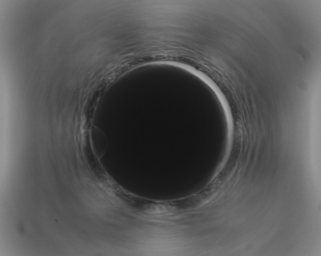 X0000114190223200911061410