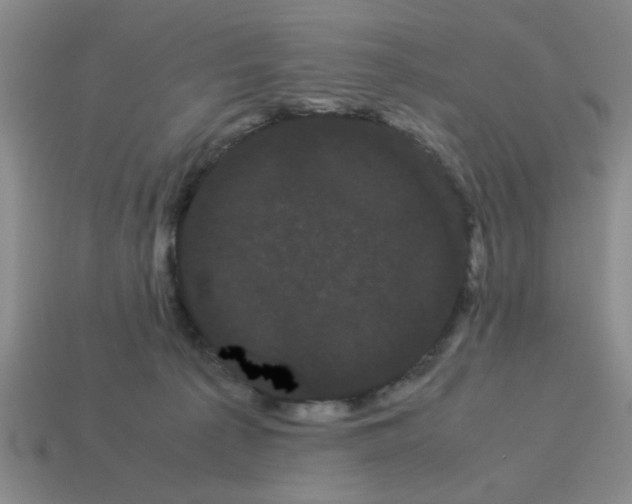 X0000114190225200911061410