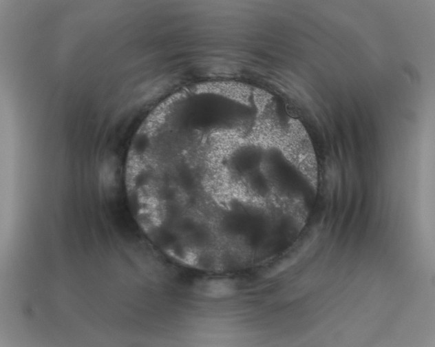 X0000114190228200911061410