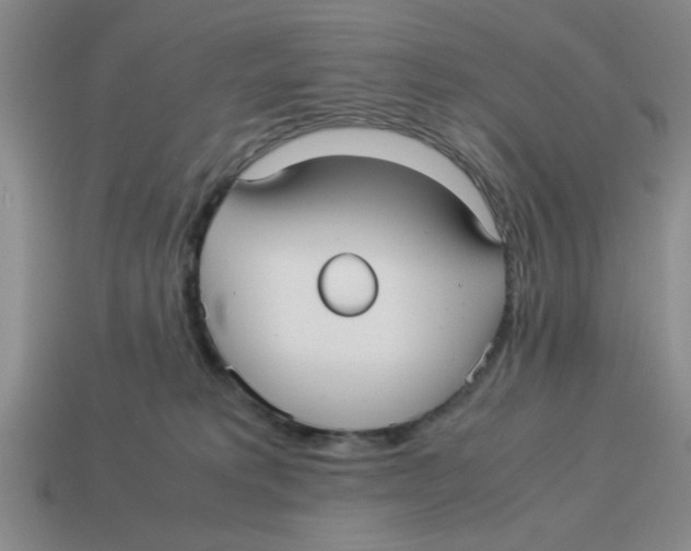 X0000114190229200911061410