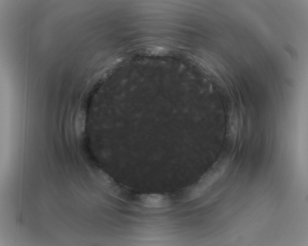 X0000114190230200911061410