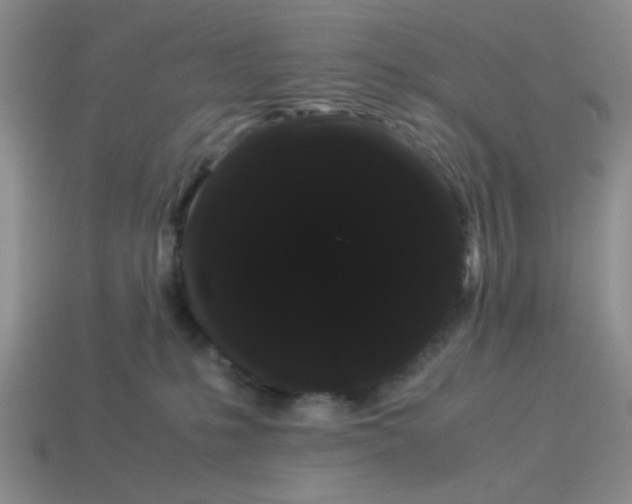 X0000114190231200911061410