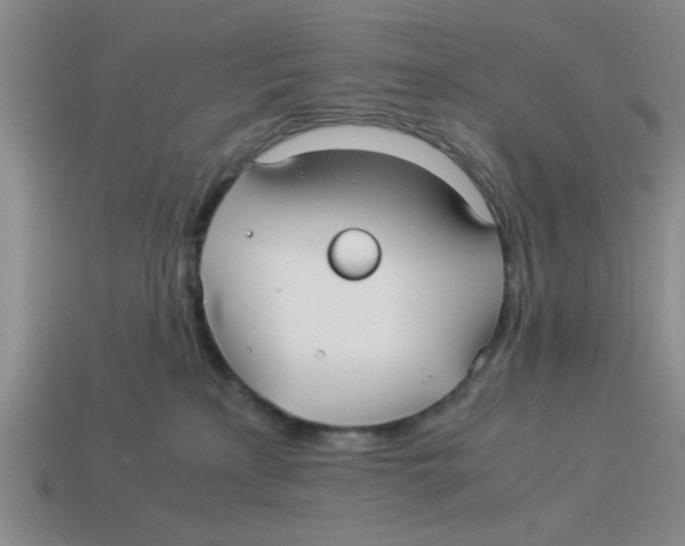 X0000114190233200911061410