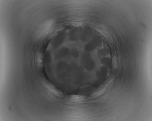 X0000114190234200911061410