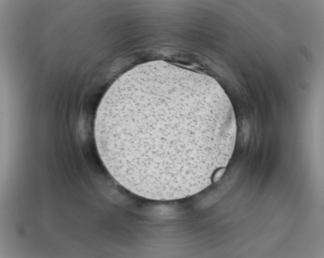 X0000114190236200911061410