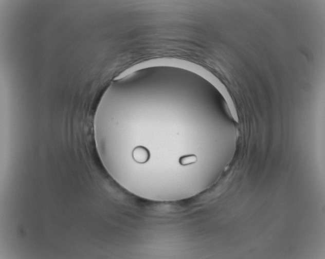 X0000114190237200911061410