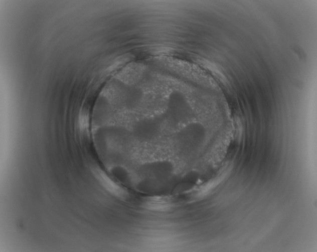 X0000114190238200911061410