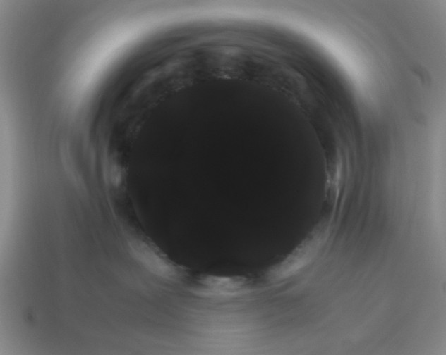 X0000114190239200911061410