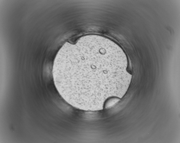 X0000114190240200911061410