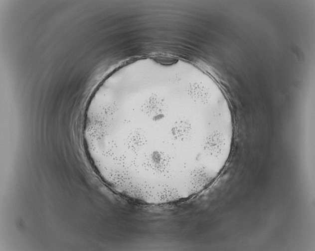 X0000114190241200911061409