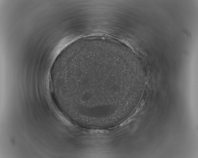 X0000114190242200911061409