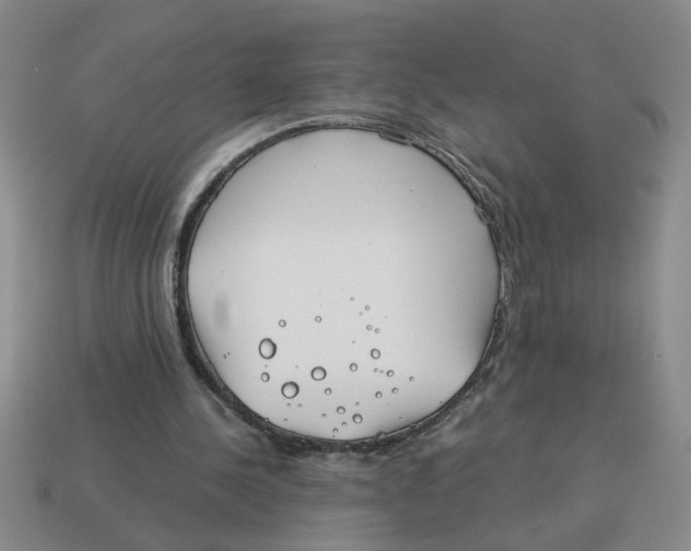 X0000114190244200911061409