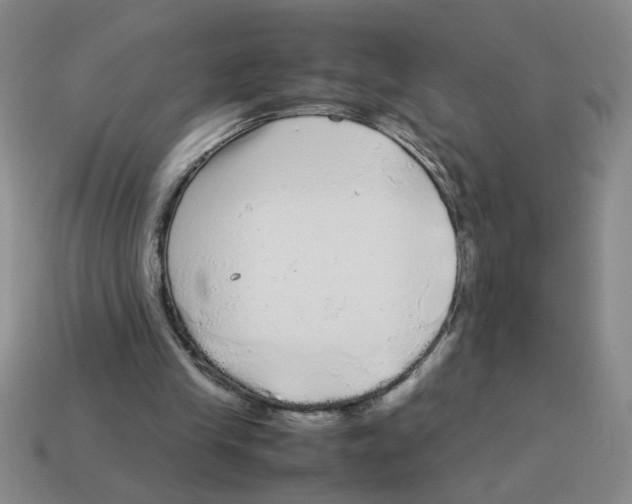 X0000114190245200911061409