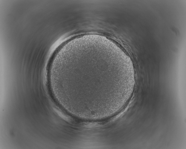 X0000114190246200911061409