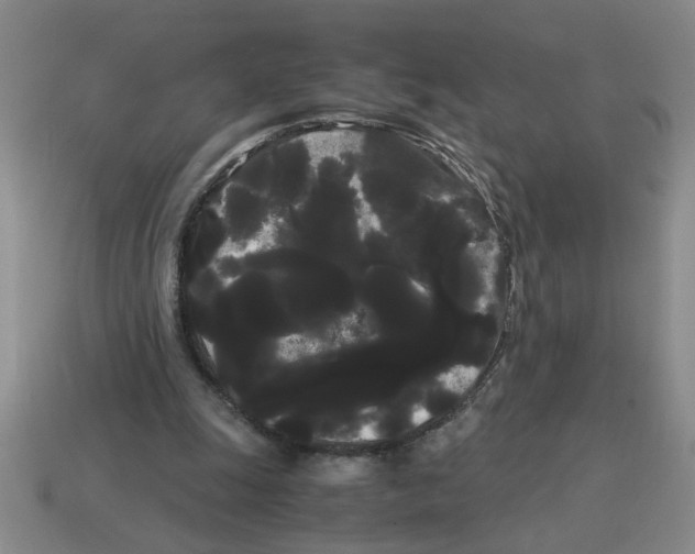 X0000114190247200911061409