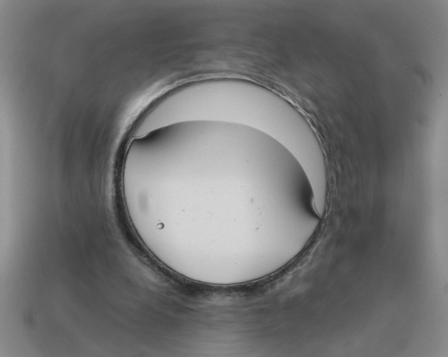 X0000114190248200911061409