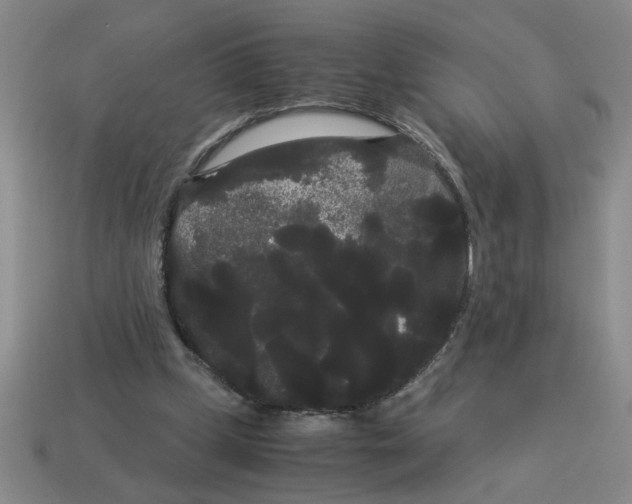 X0000114190249200911061409