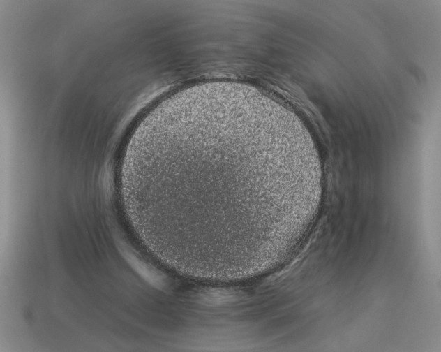 X0000114190250200911061409