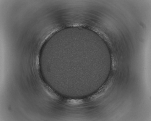 X0000114190251200911061409