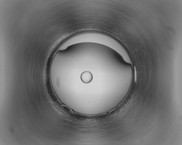 X0000114190252200911061409