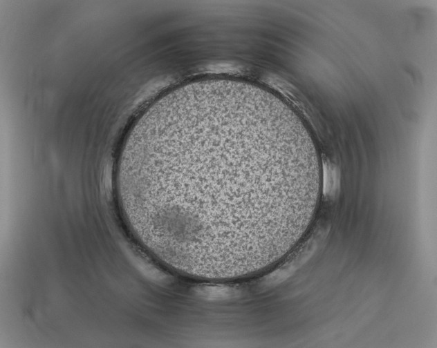 X0000114190253200911061409