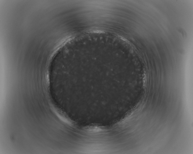 X0000114190254200911061409