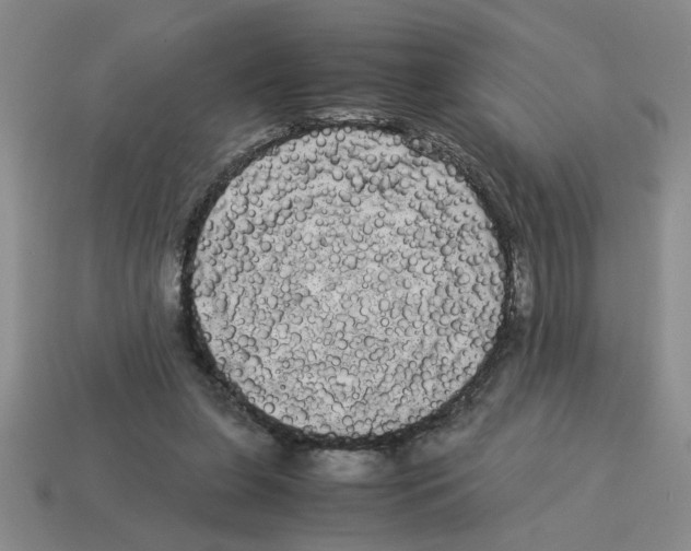 X0000114190255200911061409