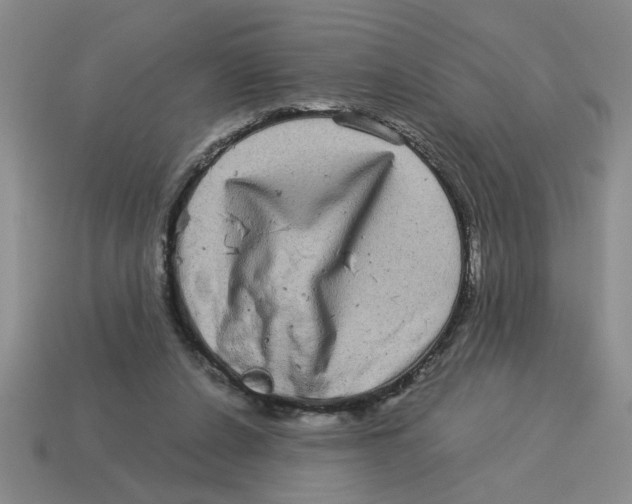 X0000114190256200911061409