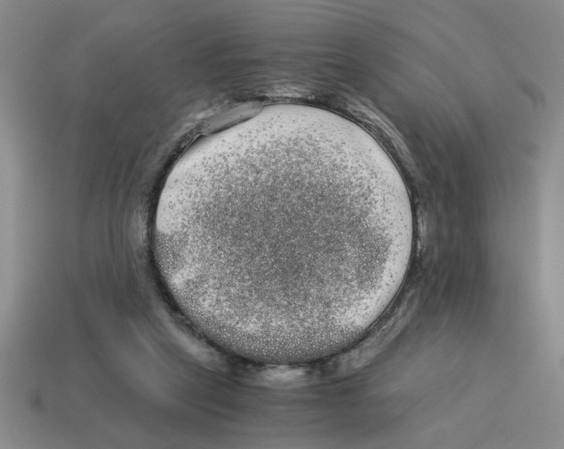 X0000114190257200911061409