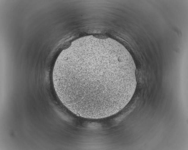 X0000114190258200911061409