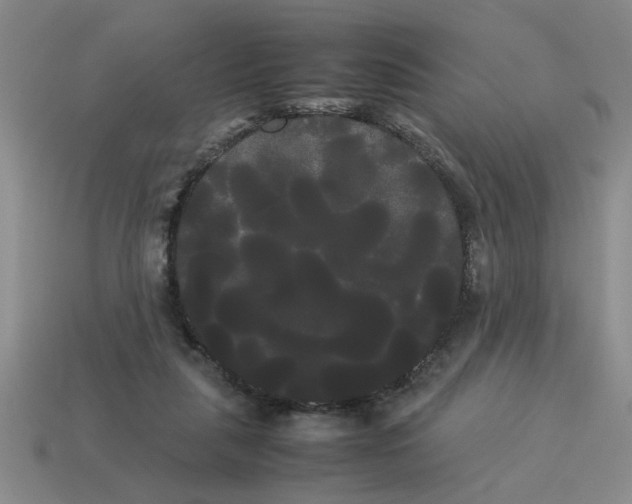 X0000114190259200911061409