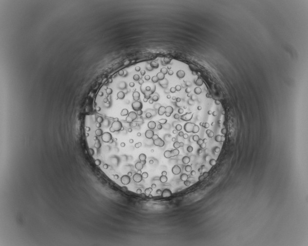 X0000114190261200911061409