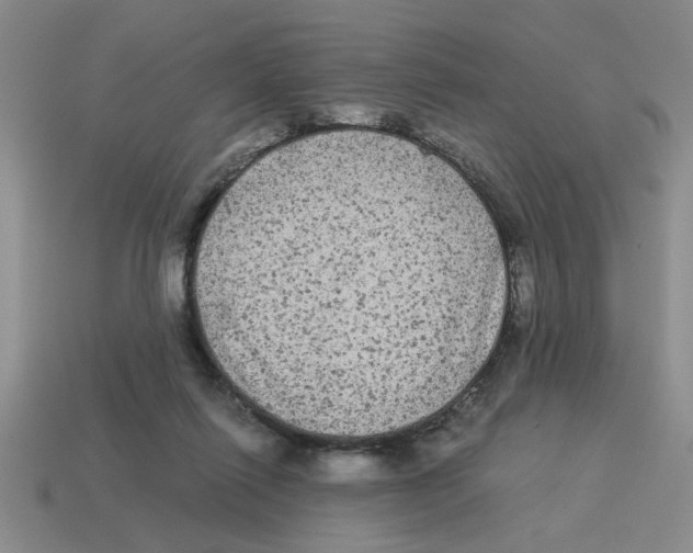 X0000114190262200911061409