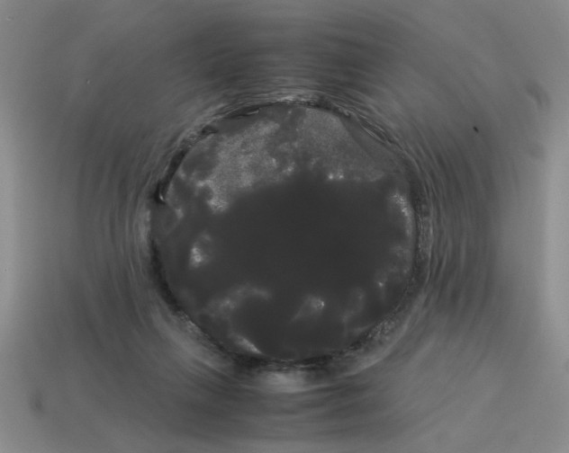 X0000114190263200911061409