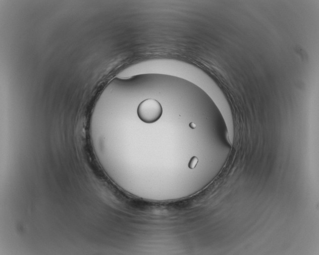 X0000114190264200911061409