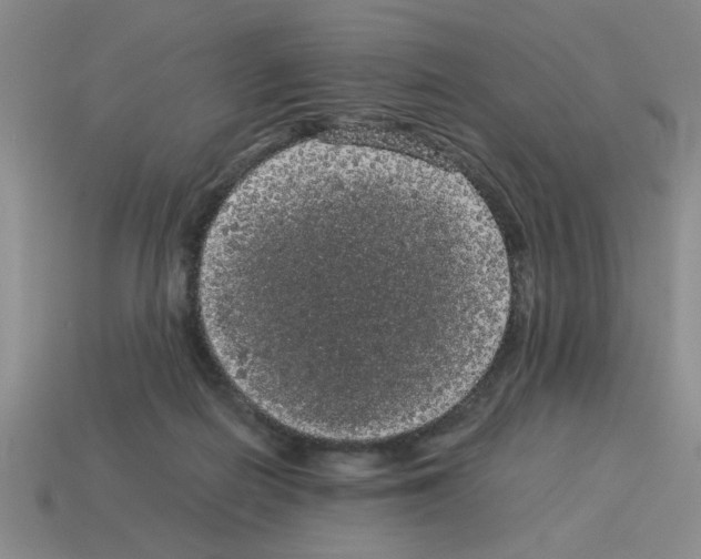 X0000114190266200911061409