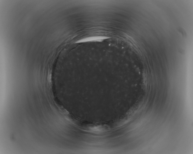 X0000114190267200911061409