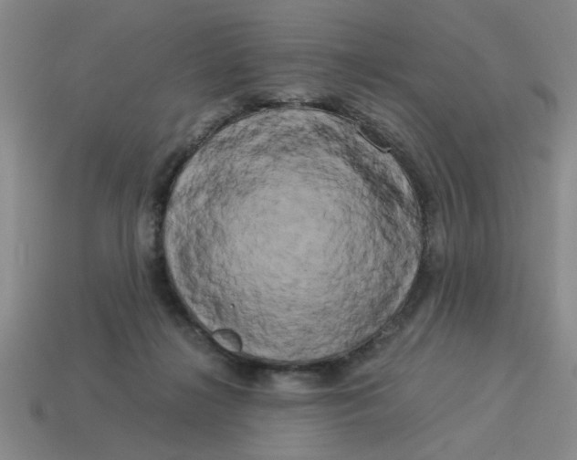 X0000114190268200911061409