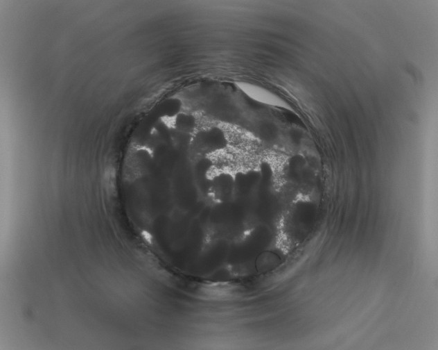 X0000114190269200911061409